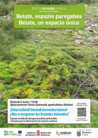 6 de junio | Jornada de voluntariado ambiental en Belate: eliminación de especies exóticas